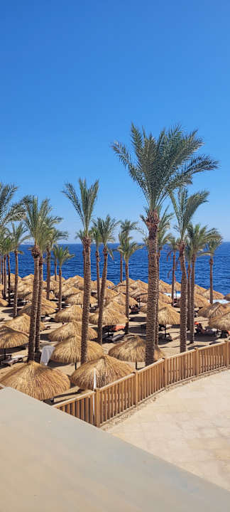 Ausblick The Grand Hotel Sharm El Sheikh