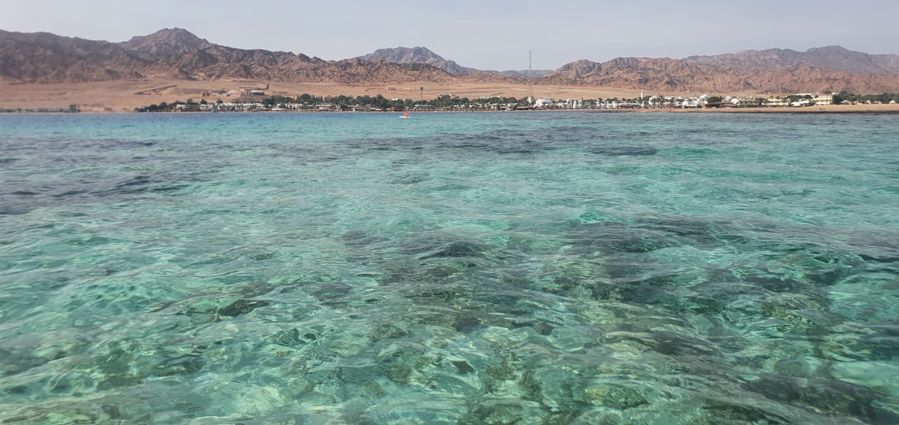 Außenansicht JAZ Dahabeya