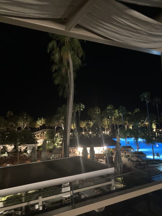 Gastro Acanthus Cennet Barut Collection