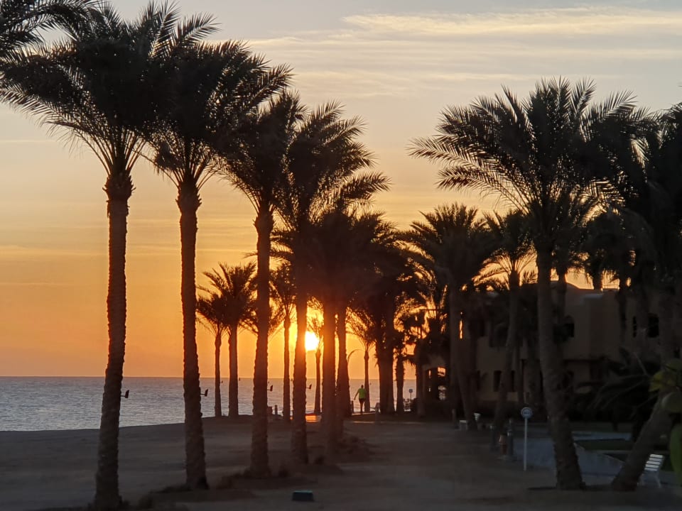 Ausblick Steigenberger Coraya Beach - Adults only