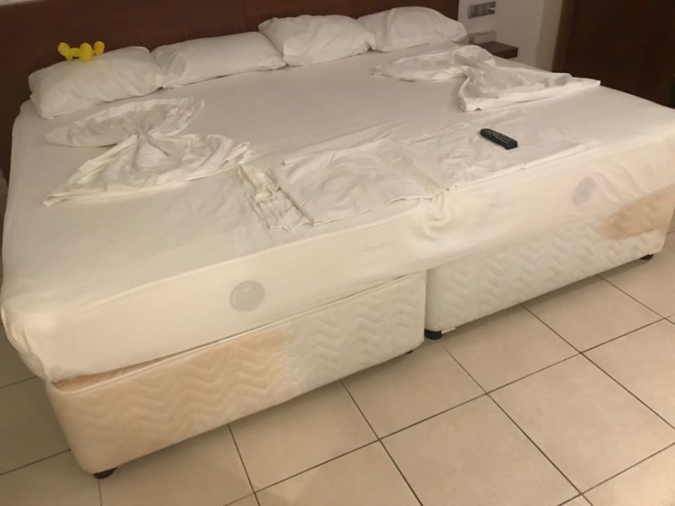 Zimmer Kamelya Aishen Club