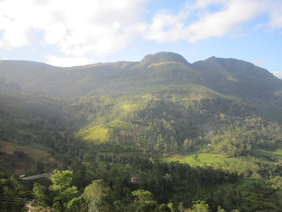 Blick aus dem Zimmer Oak-Ray Hotel Tea Bush Ramboda