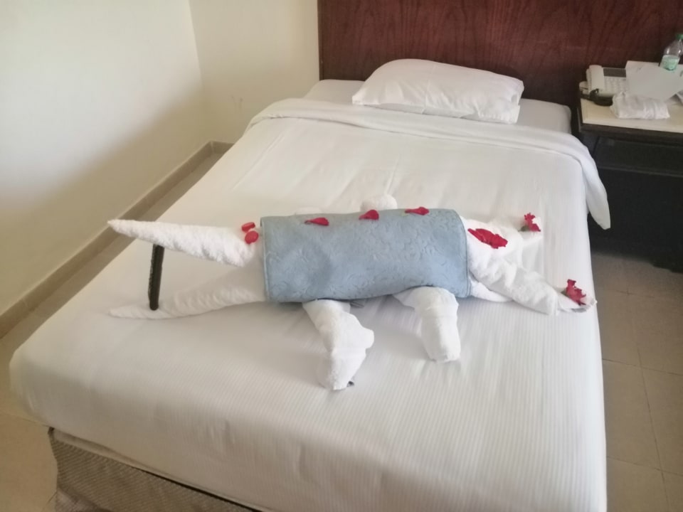 Zimmer Serenity Alpha Beach