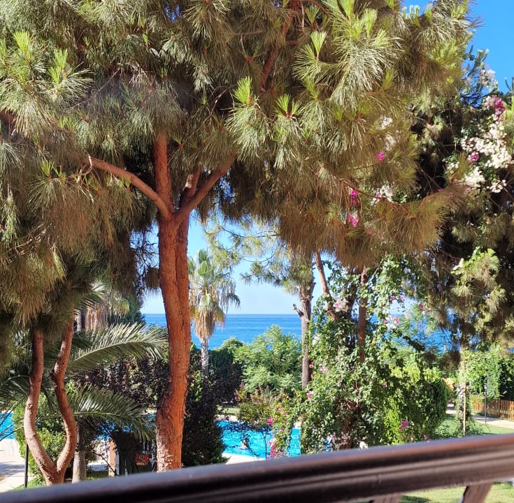 Ausblick Club Turtas Beach Hotel