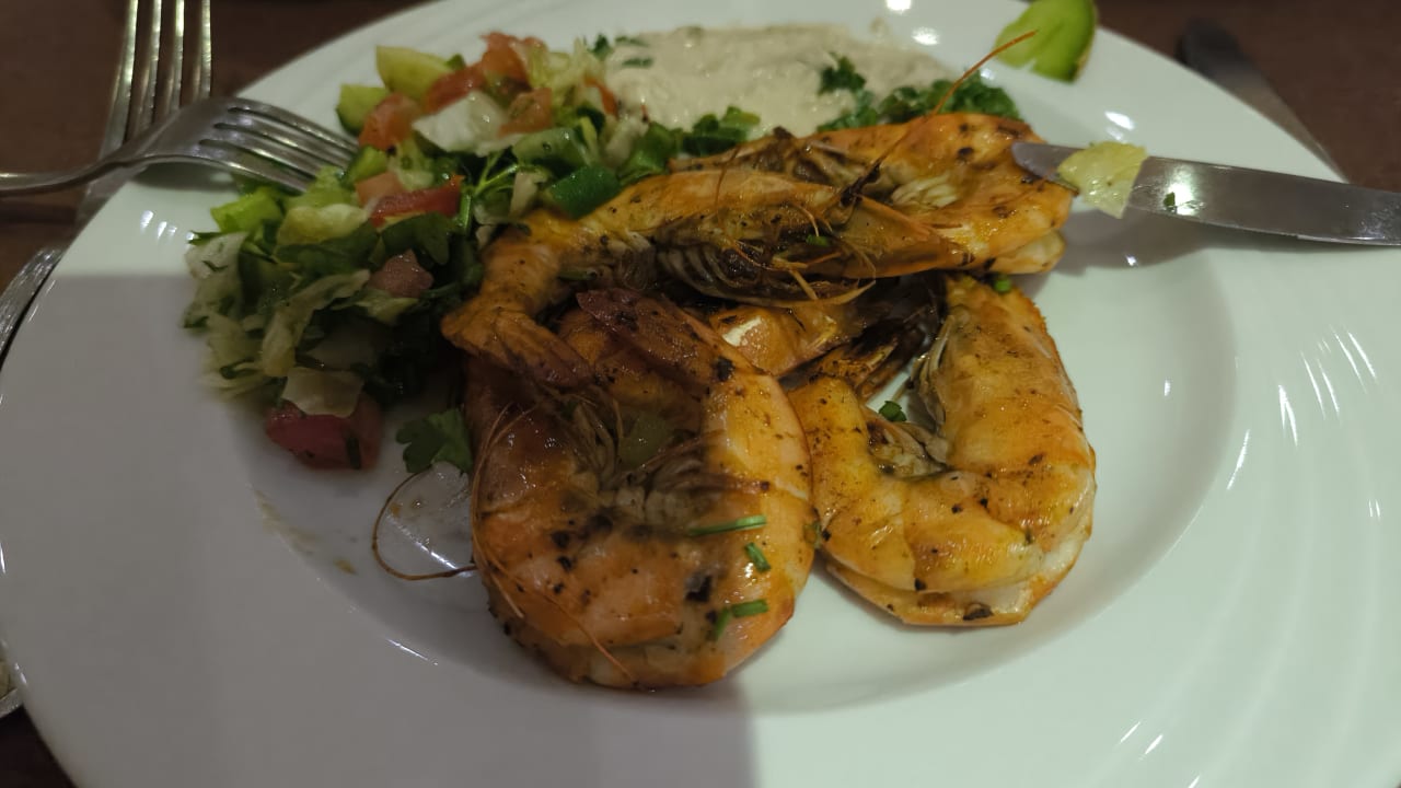 Gastro Makadi Spa - Adults only