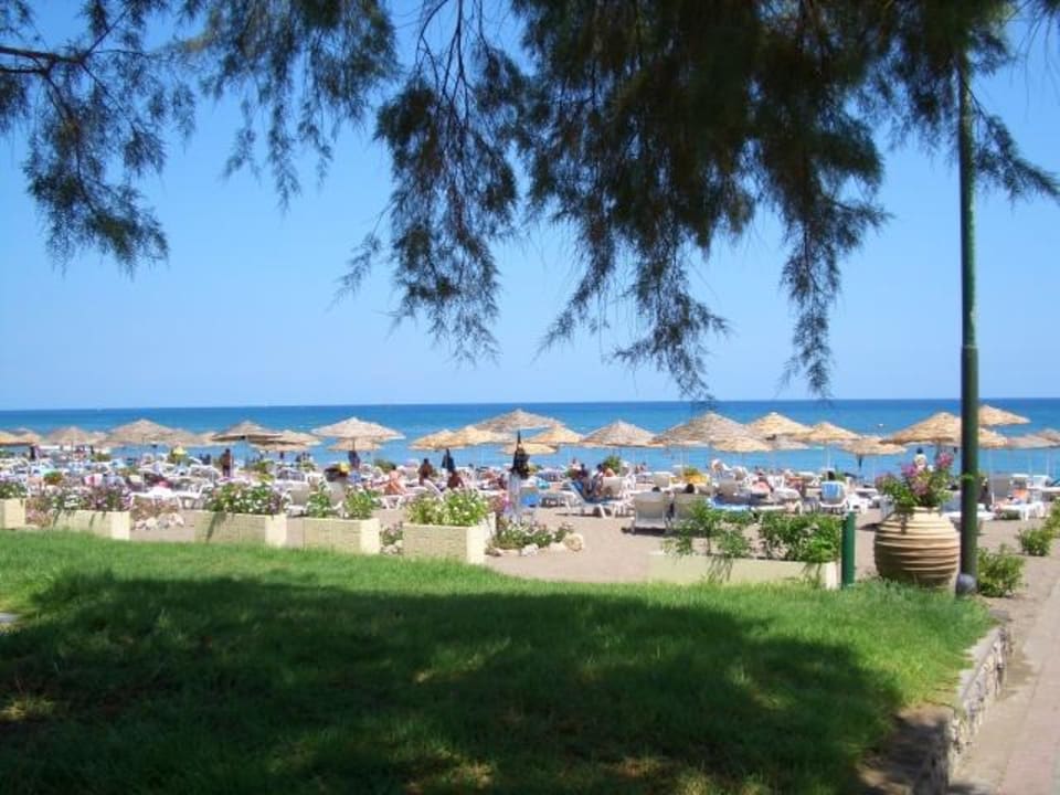 Blick vom Garten auf das Meer Hotel Calypso Beach