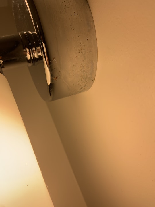 Zimmer Avanti International Resort