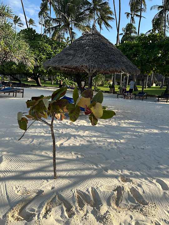 Strand Ocean Paradise Resort & Spa