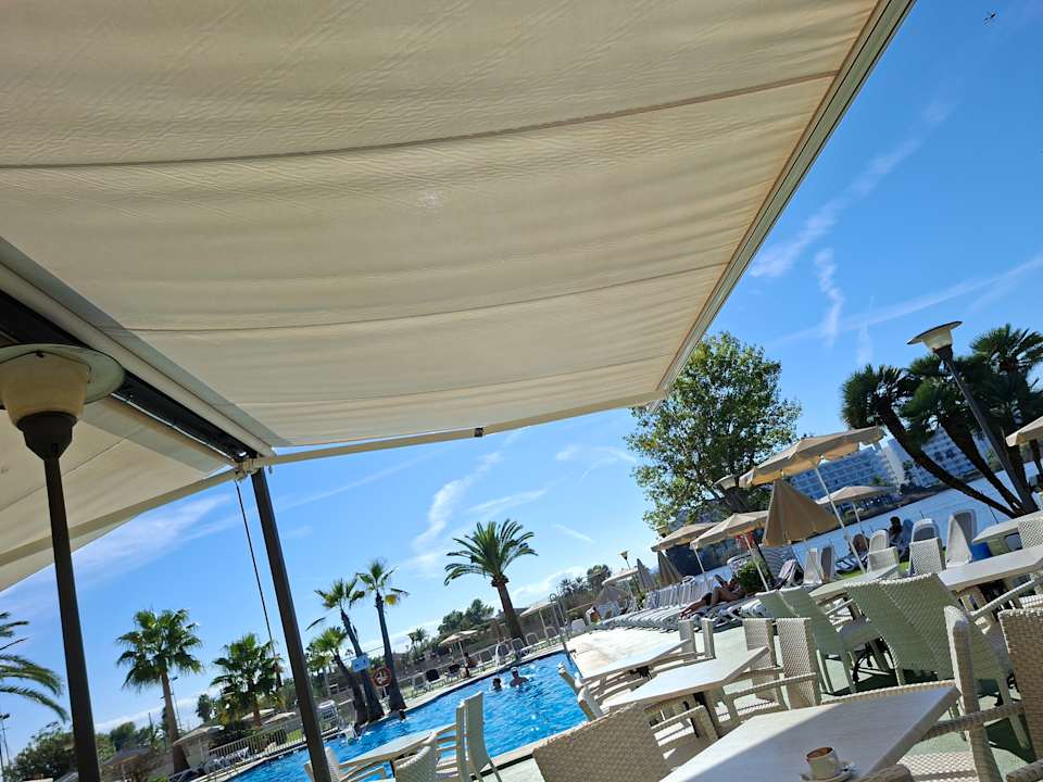 Pool Grupotel Amapola