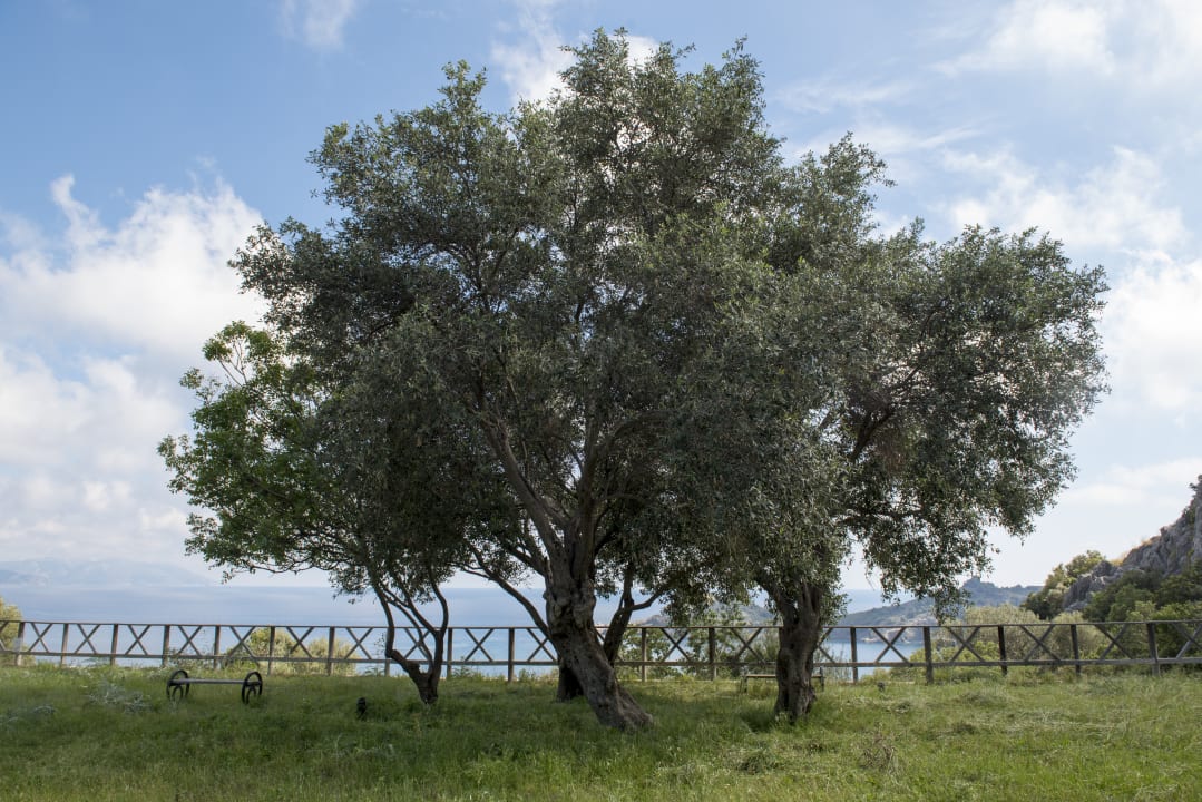 Gartenanlage X Life Hotel Sarıgerme