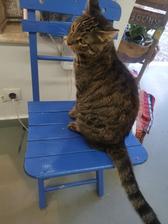 Außenansicht Lindos Royal Resort