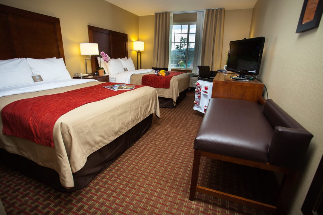 Two queen bed standard room  Comfort Inn & Suites Carbondale
