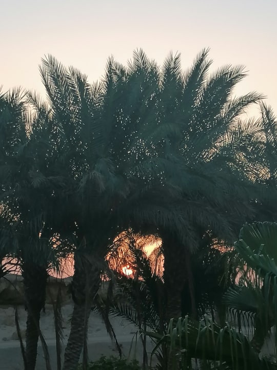 Ausblick SUNRISE Cardina Resort