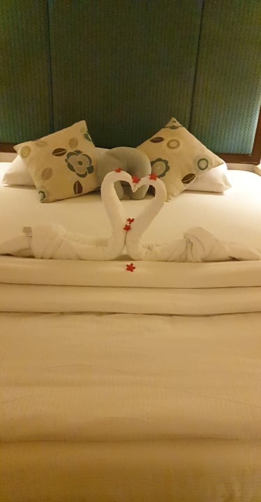 Zimmer Pickalbatros Citadel Resort