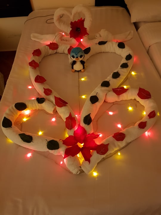 Zimmer Three Corners Sea Beach Resort