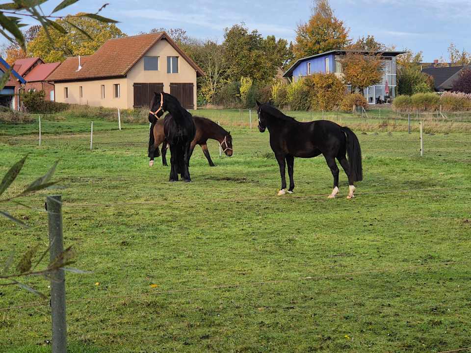 Ausblick Flair Seehotel Zielow
