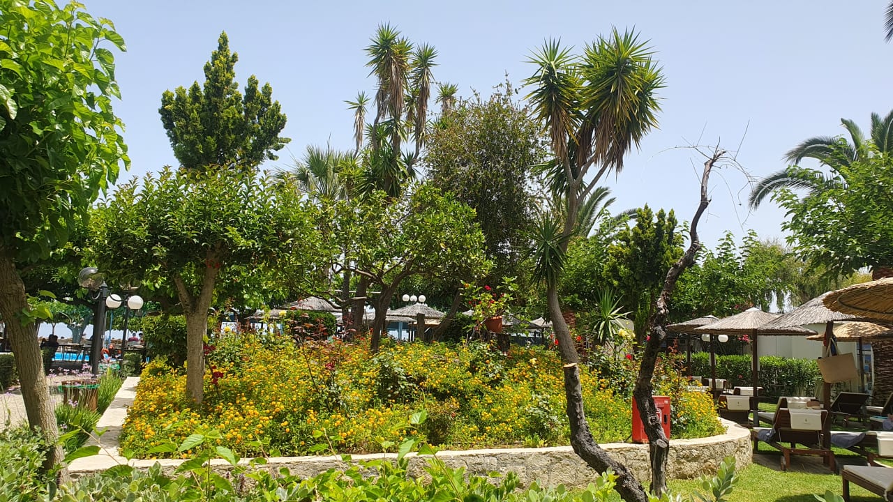 Gartenanlage Corissia Beach Hotel