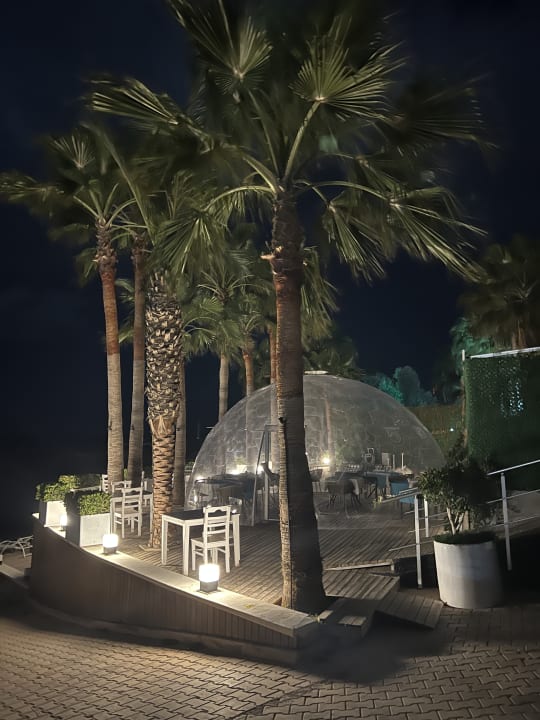 Gartenanlage Hotel Selena Beach