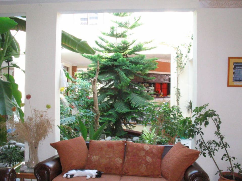 Lobby, im Hintergrund die Bar Hotel Alma Beach