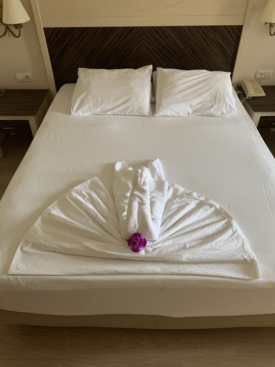 Zimmer Aydinbey Kings Palace & Spa