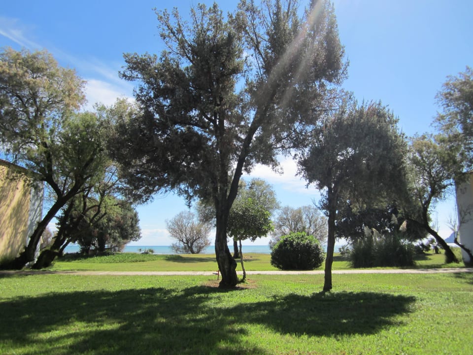 Sicht von unserem Gartensitzplatz beim Bungalow Domes Aulūs Zante, Autograph Collection