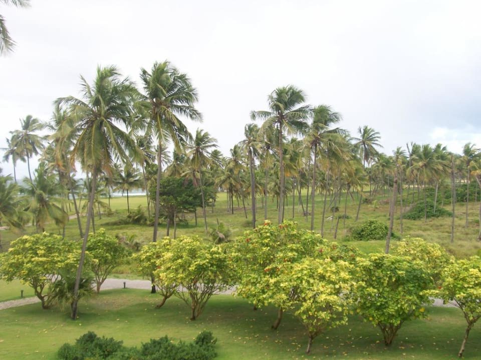 Ausblick aus unserem Zimmer Iberostar Waves Bahia