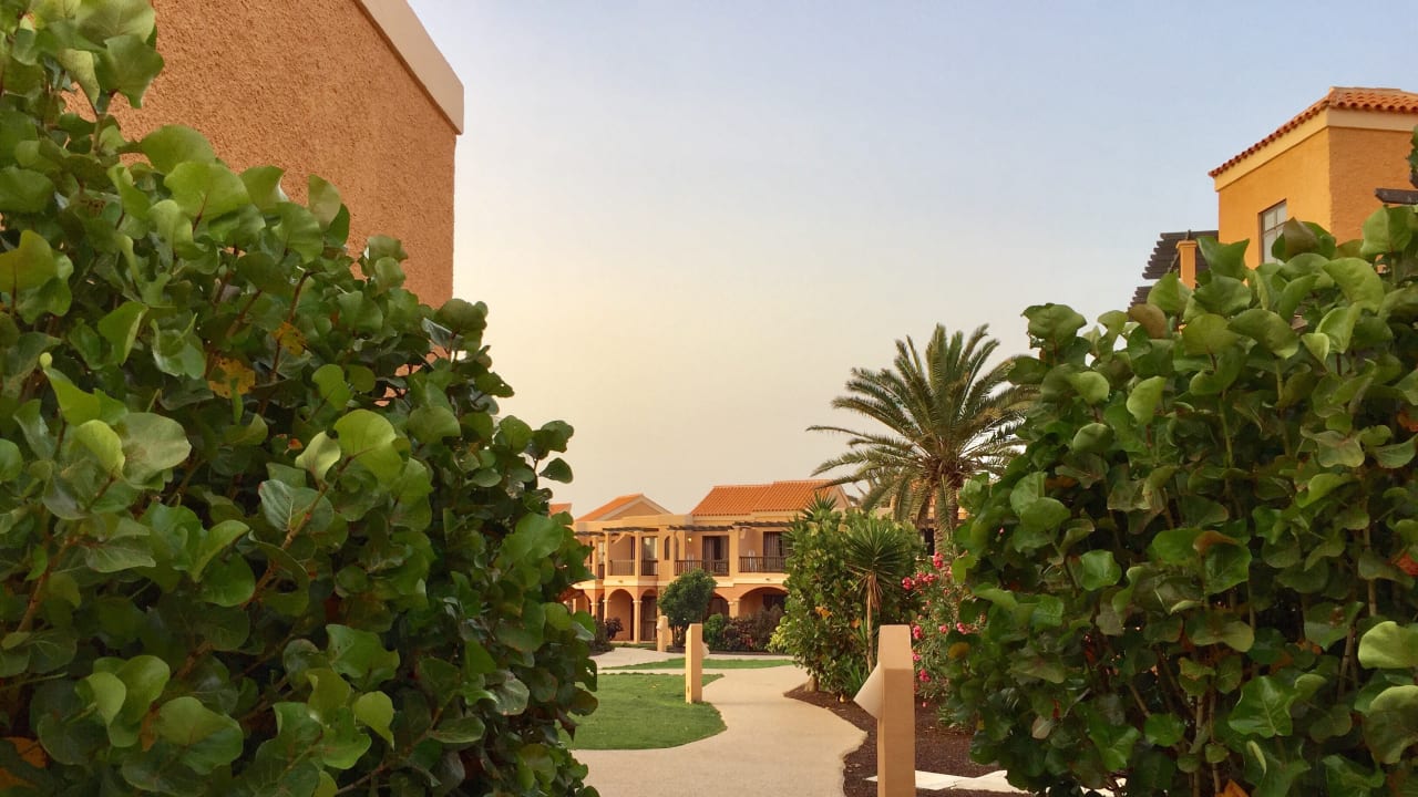 Gartenanlage Bakour Fuerteventura La Pared