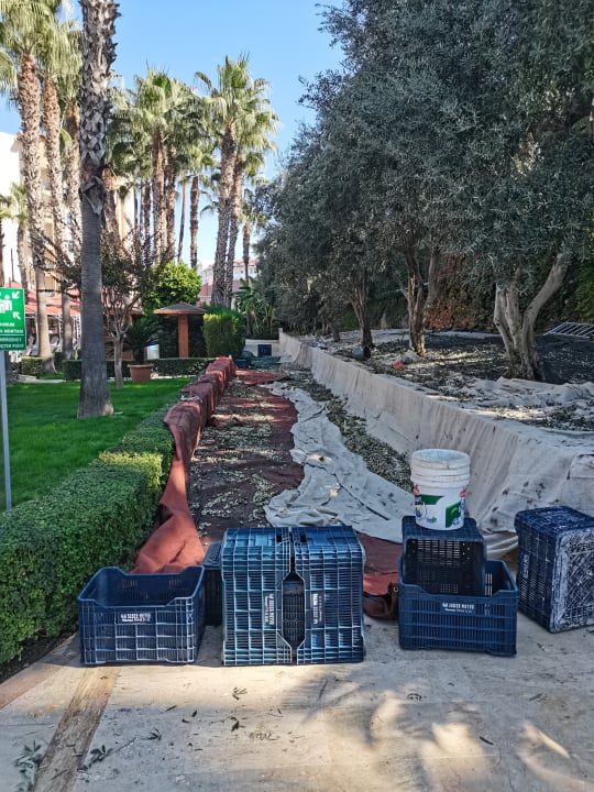 Gartenanlage Miramare Queen Hotel