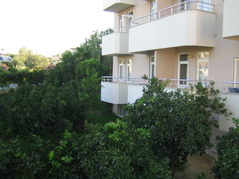 Nebengebäude Trendy Palm Beach (Adults Only, 16+)