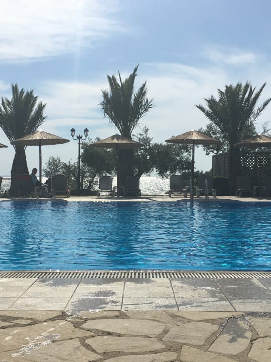 Pool Blue Dolphin Resort Hotel