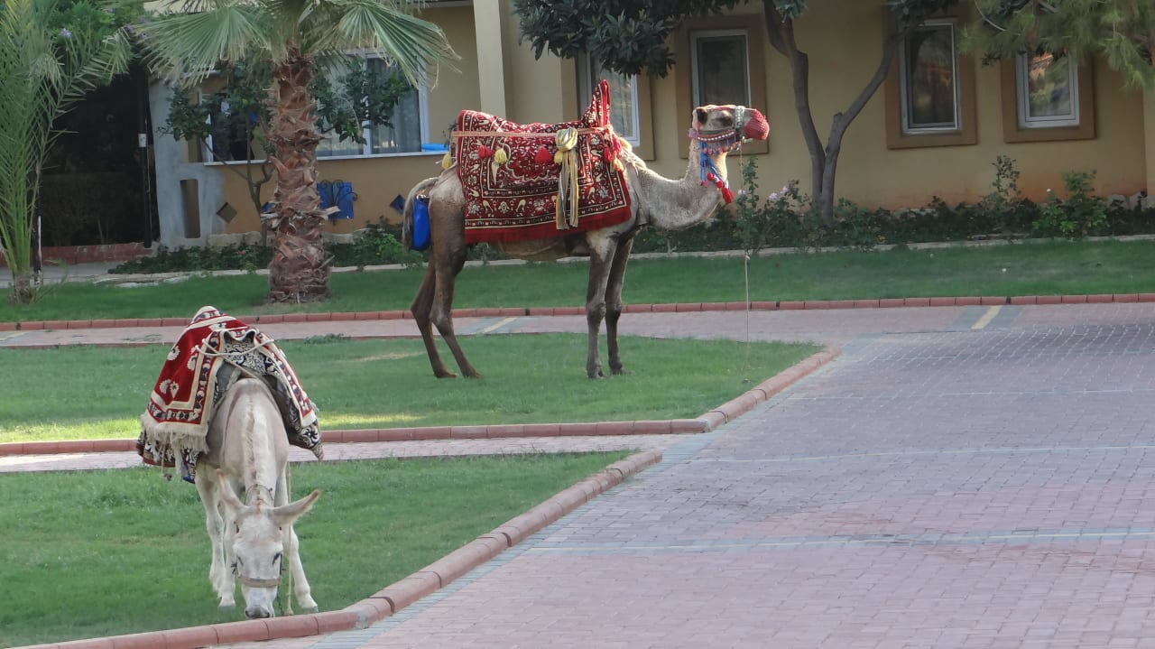 Fauna Lonicera Resort & Spa Hotel