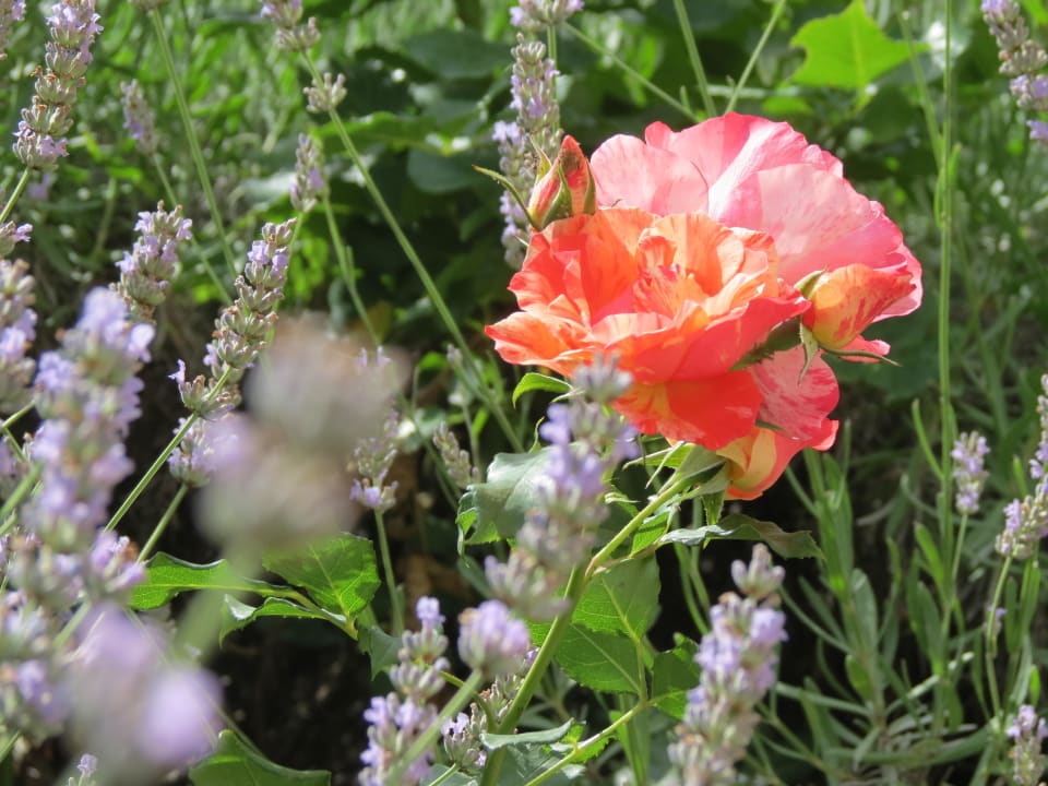 Schön Hotel Villa Toskana