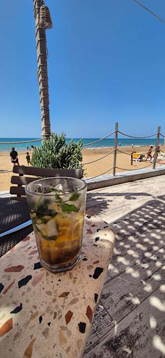 Strand Seashell Vega