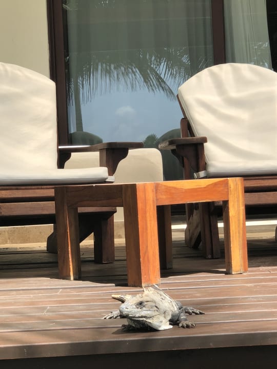 Sonstiges Akumal Bay Beach & Wellness Resort