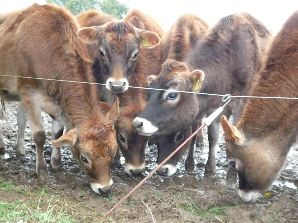 Sonstiges Panorama Guest House