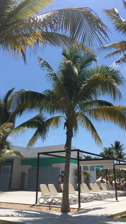 Sonstiges Hotel Riu Playacar