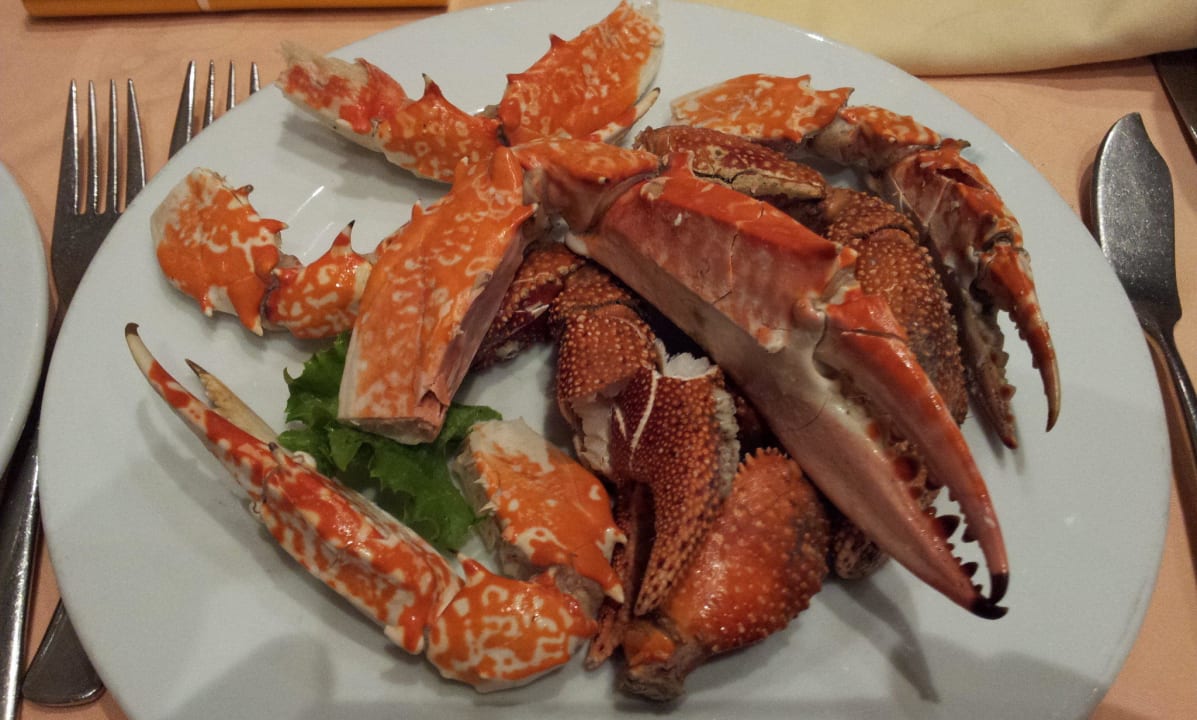 BEMA Foto Hotel Framissima Palm Beach