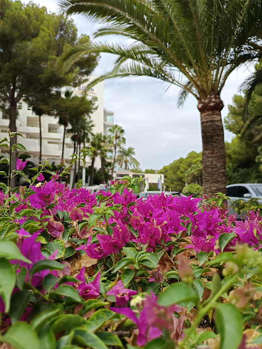 Außenansicht allsun Hotel Bella Paguera