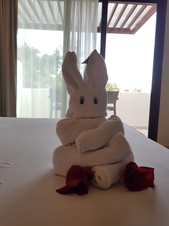 Zimmer Akumal Bay Beach & Wellness Resort