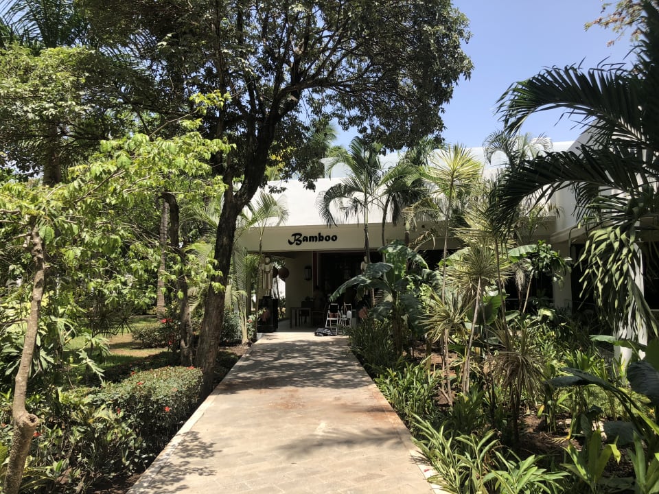 Gartenanlage Hotel Riu Tequila