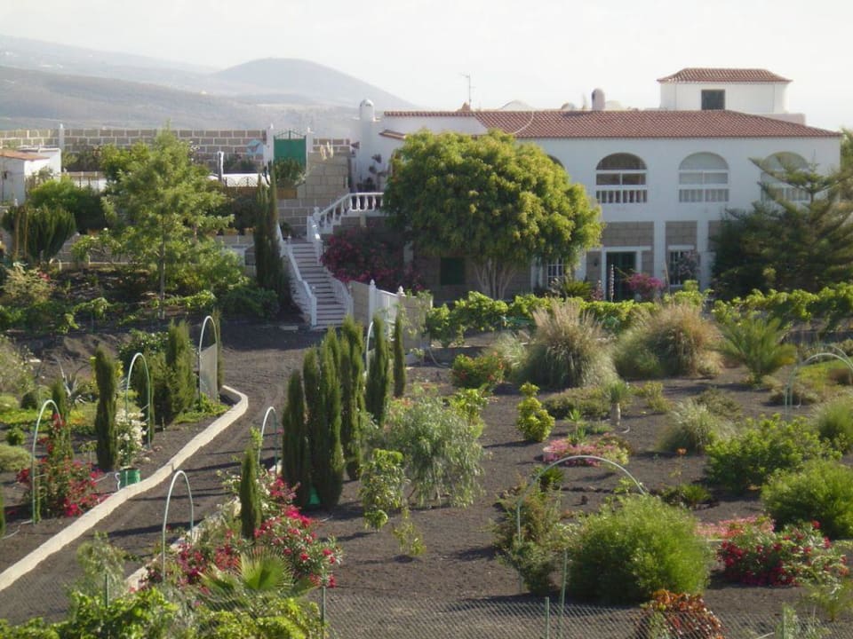 Gesamtansicht Finca Arico