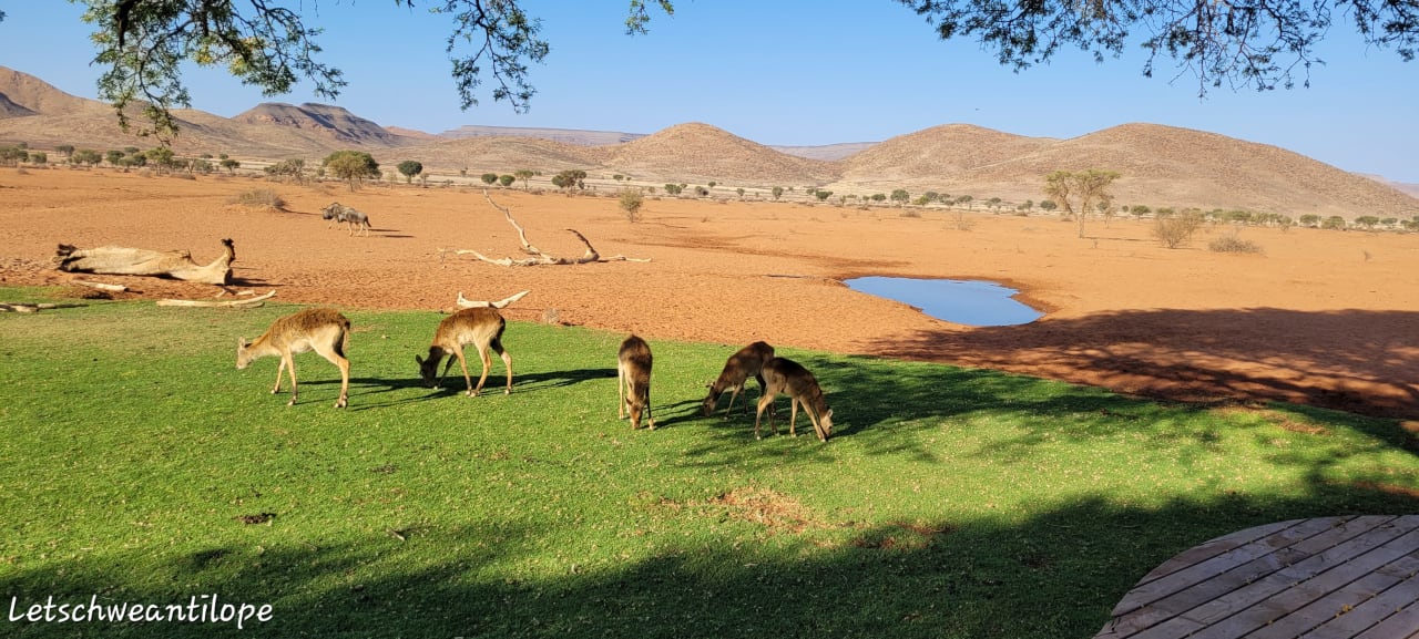 Gartenanlage We Kebi Safari Camp