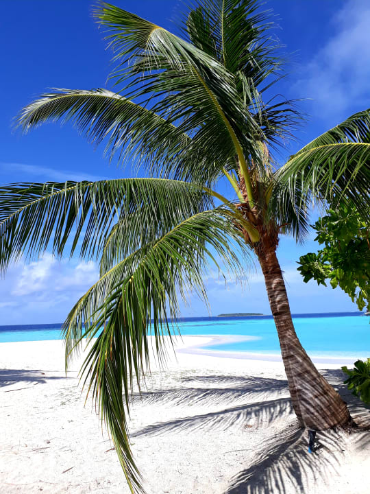 Strand NH Collection Maldives Havodda Resort