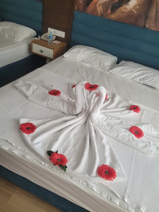 Zimmer Dream World Resort & Spa