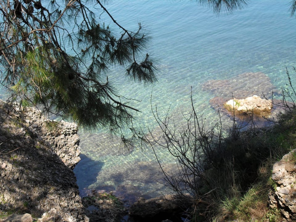 Meerblick aus Pinienwald Sealife Buket Resort & Beach