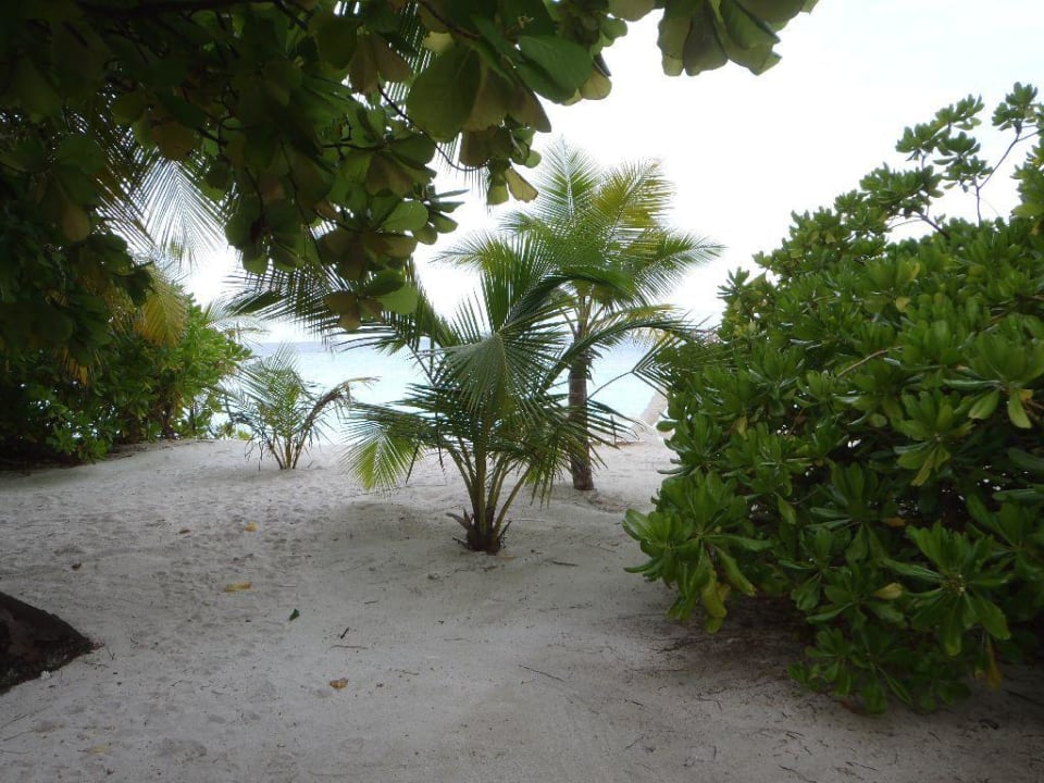 Angaga  Angaga Island Resort