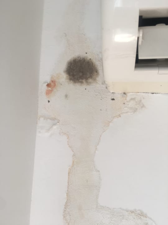 Zimmer Blue Diamond Alya