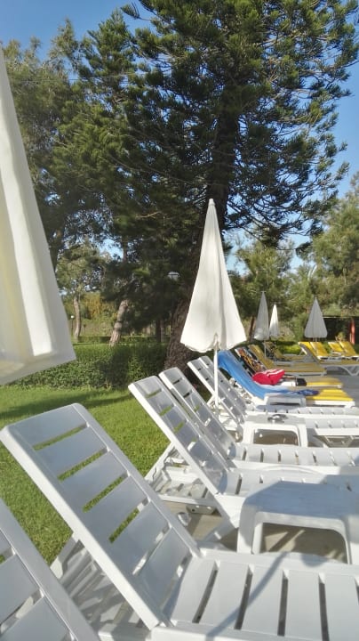 Gartenanlage Asteria Collection Side