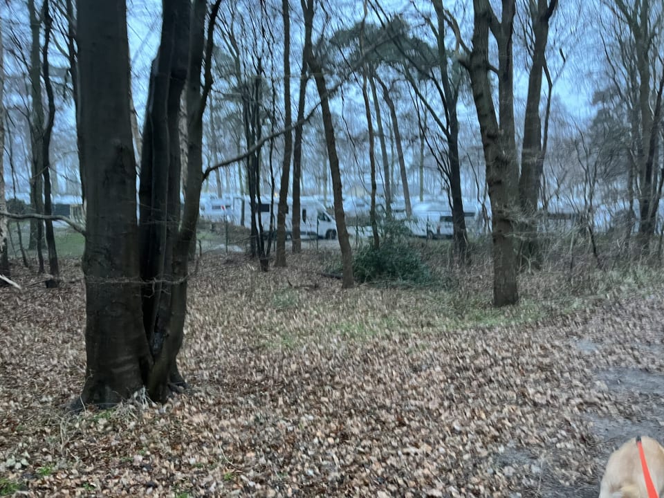 Außenansicht Campingpark Kühlungsborn
