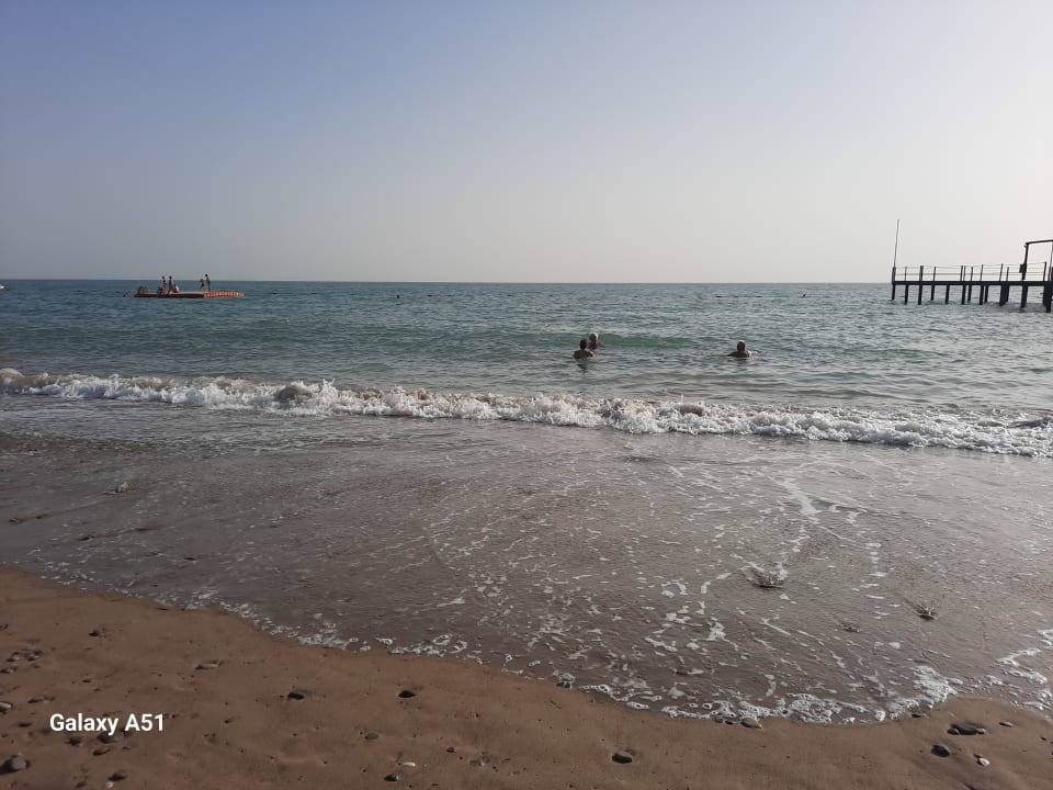 Strand Papillon Ayscha